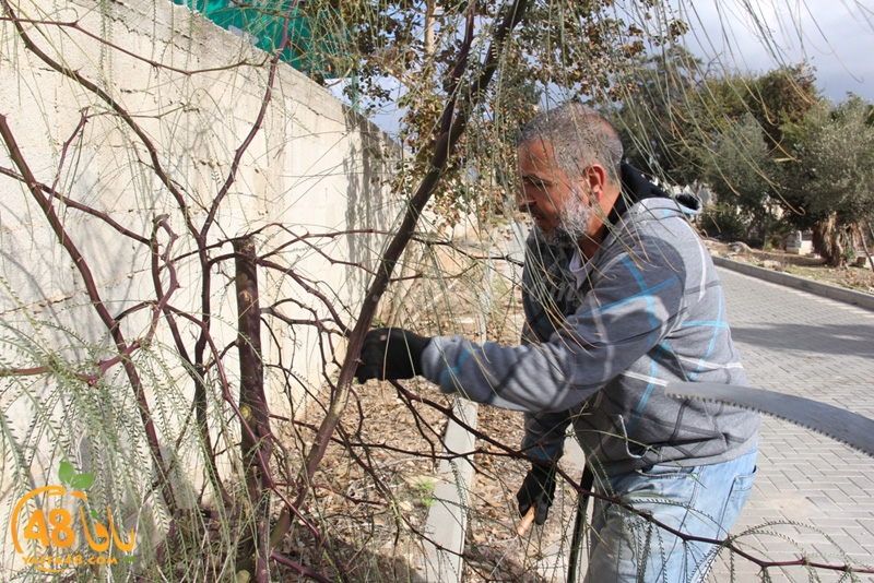 taso mashro3 tandaef (2).JPG